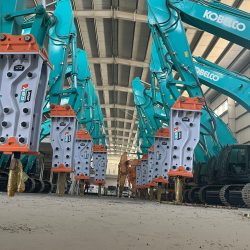 whatsapp image 2025 11 10 at 11.25.39 am